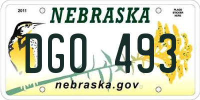 NE license plate DGO493