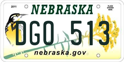 NE license plate DGO513