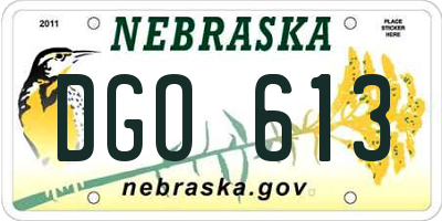 NE license plate DGO613