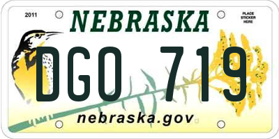 NE license plate DGO719