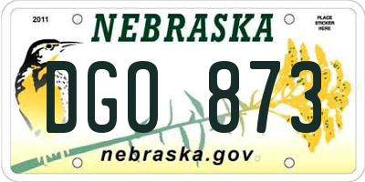 NE license plate DGO873