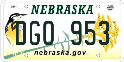 NE license plate DGO953