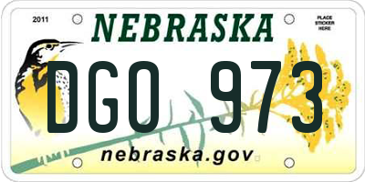 NE license plate DGO973