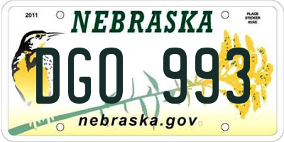 NE license plate DGO993