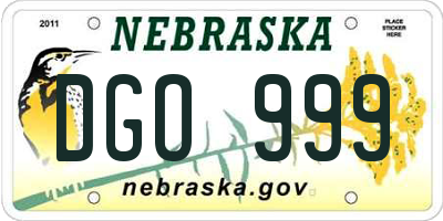 NE license plate DGO999
