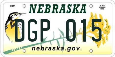 NE license plate DGP015