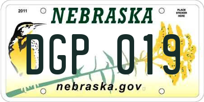 NE license plate DGP019