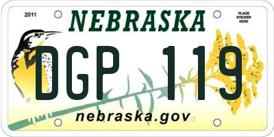 NE license plate DGP119