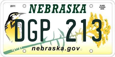 NE license plate DGP213