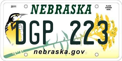 NE license plate DGP223