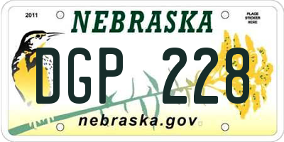 NE license plate DGP228