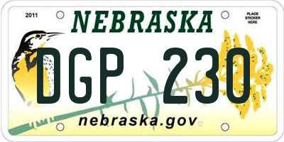NE license plate DGP230