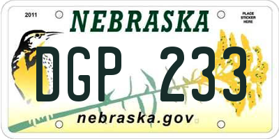 NE license plate DGP233