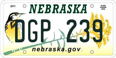 NE license plate DGP239