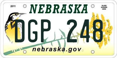 NE license plate DGP248
