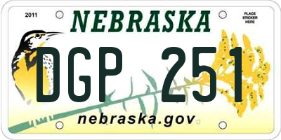 NE license plate DGP251