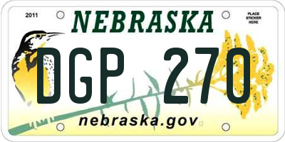 NE license plate DGP270