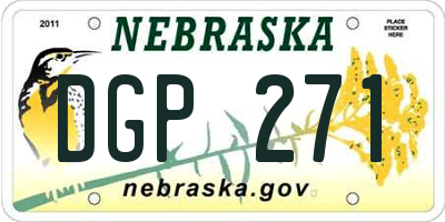 NE license plate DGP271