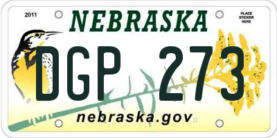 NE license plate DGP273