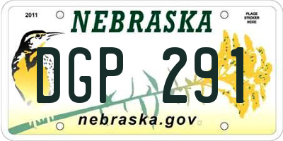 NE license plate DGP291