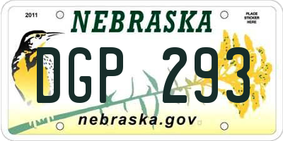 NE license plate DGP293