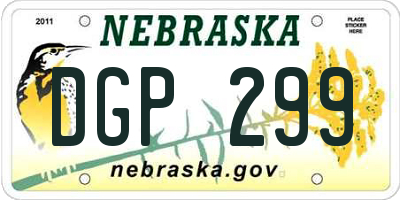NE license plate DGP299