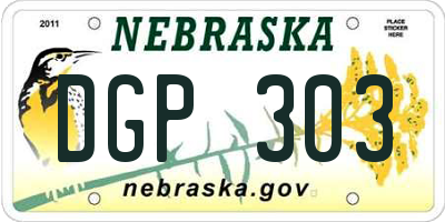 NE license plate DGP303