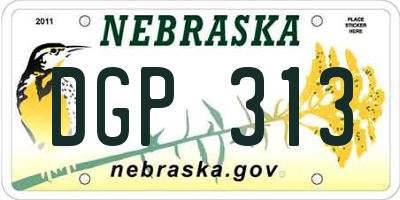 NE license plate DGP313
