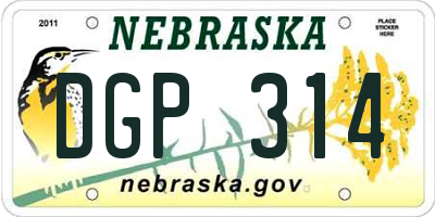 NE license plate DGP314