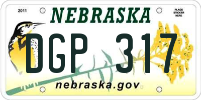 NE license plate DGP317