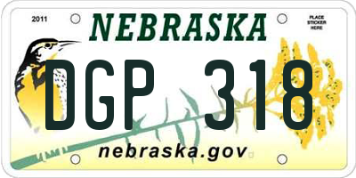 NE license plate DGP318