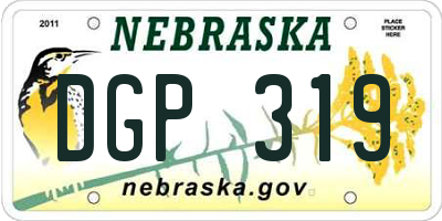 NE license plate DGP319