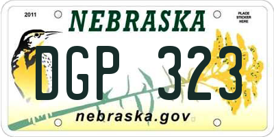 NE license plate DGP323