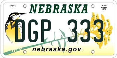 NE license plate DGP333