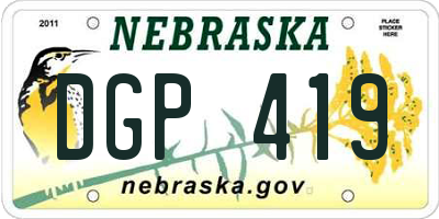 NE license plate DGP419
