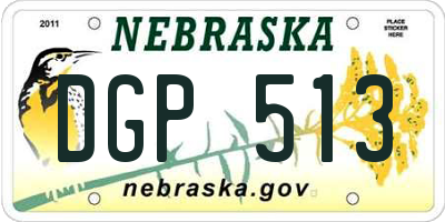 NE license plate DGP513