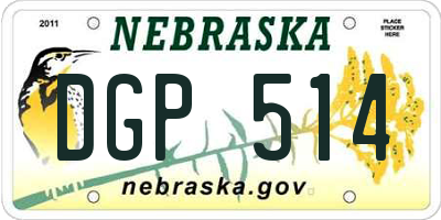 NE license plate DGP514