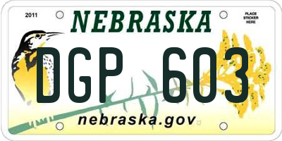NE license plate DGP603