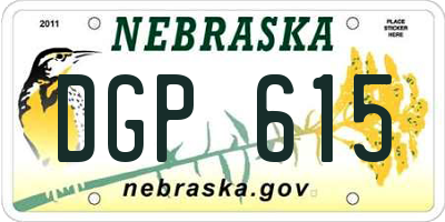 NE license plate DGP615