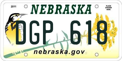 NE license plate DGP618