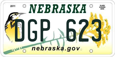 NE license plate DGP623