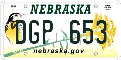 NE license plate DGP653