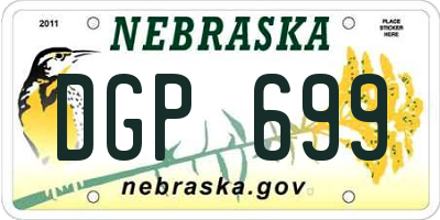 NE license plate DGP699