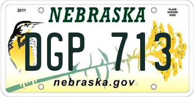 NE license plate DGP713