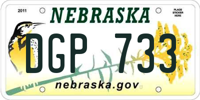 NE license plate DGP733