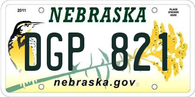 NE license plate DGP821
