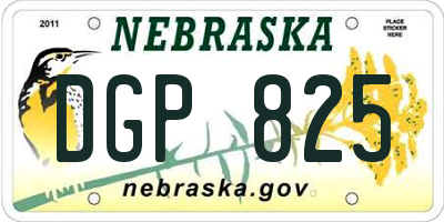 NE license plate DGP825