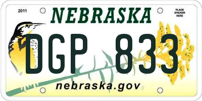 NE license plate DGP833
