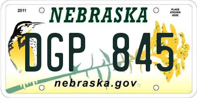 NE license plate DGP845