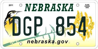 NE license plate DGP854